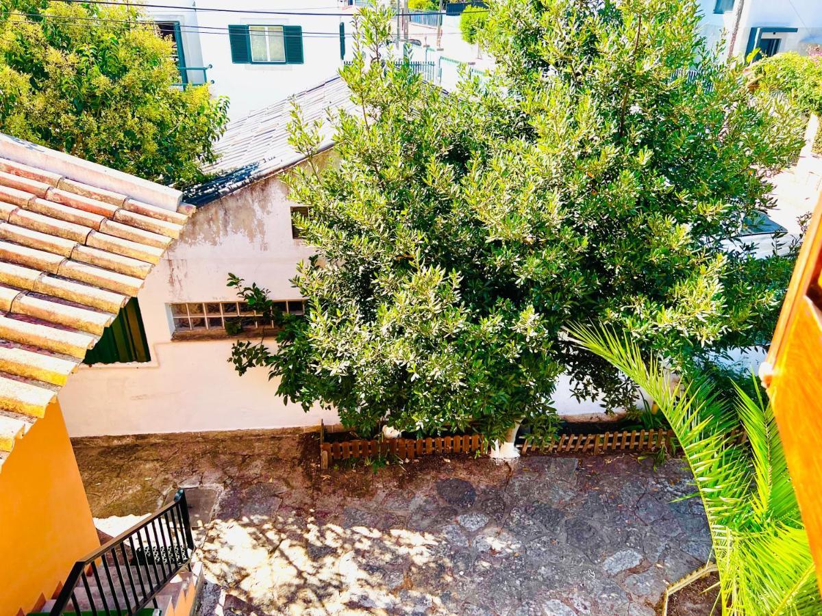 Estoril Seaside Guest House מראה חיצוני תמונה